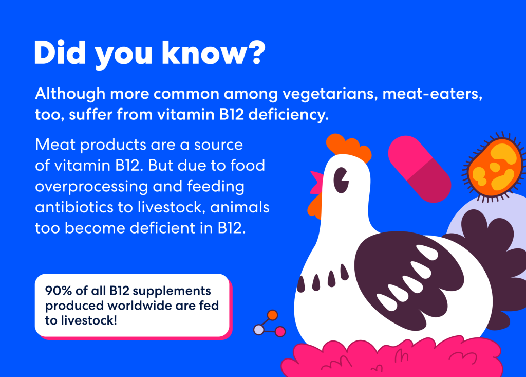 Facts about Vitamin B12. 90% of all B12 supplements produced worldwide are fed to livestock
